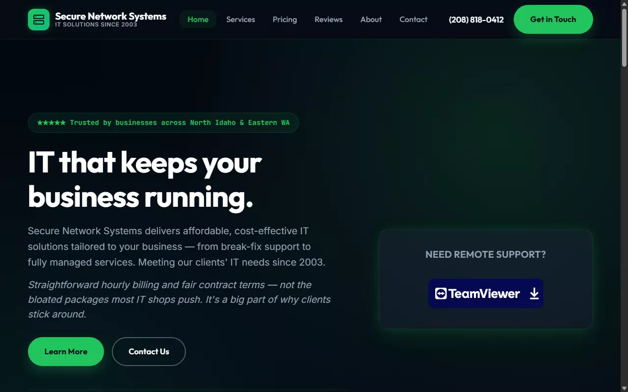 Secure Network Systems website preview
