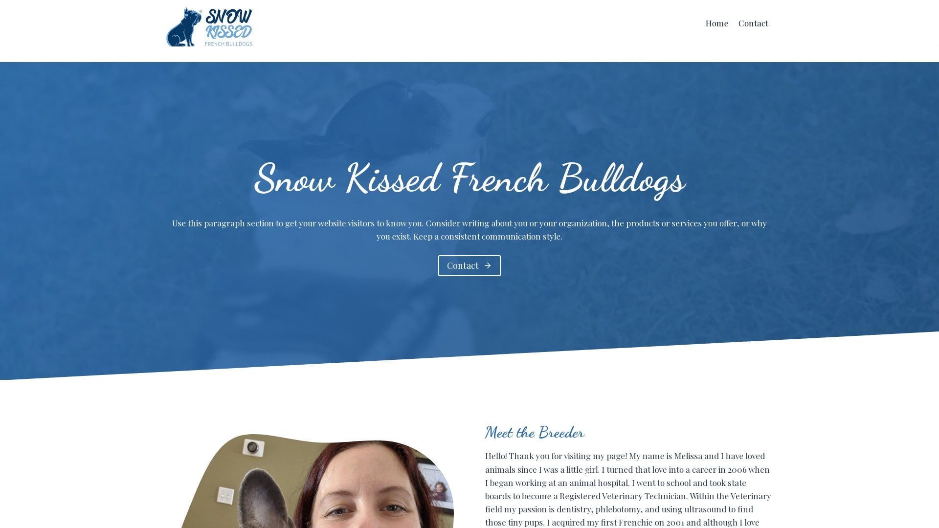 Snow Kissed – French Bulldogs